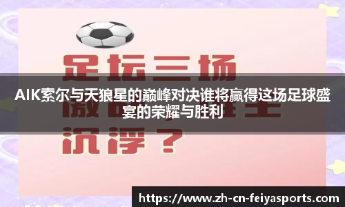 AIK索尔与天狼星的巅峰对决谁将赢得这场足球盛宴的荣耀与胜利